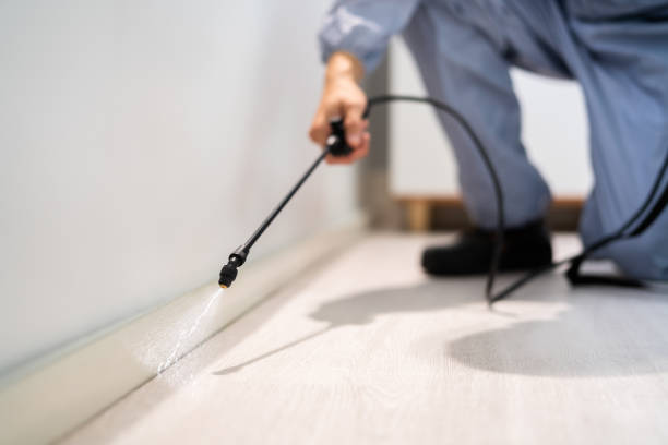 Licensed Termite Control service in Canyon Lake, TX - Nex Pest Control