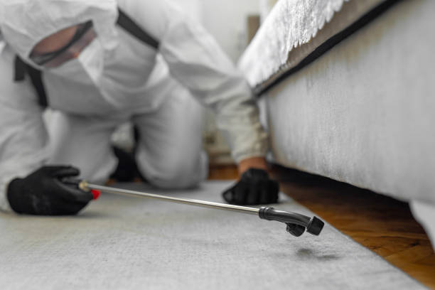 Professional Termite Control technician working in Canyon Lake, TX