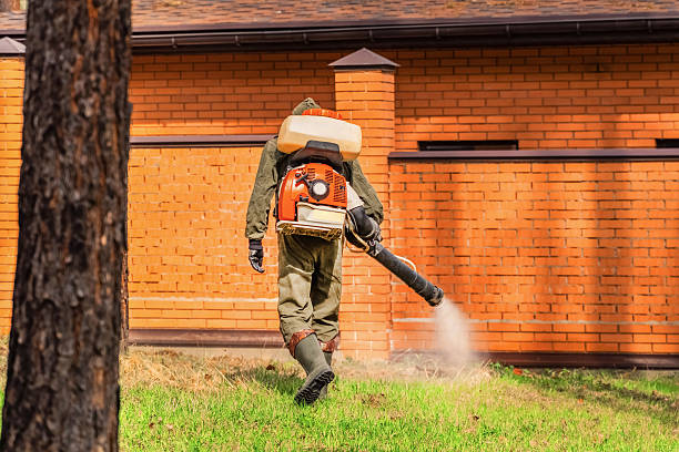 Trusted Mosquito Control service in Canyon Lake, TX - Nex Pest Control